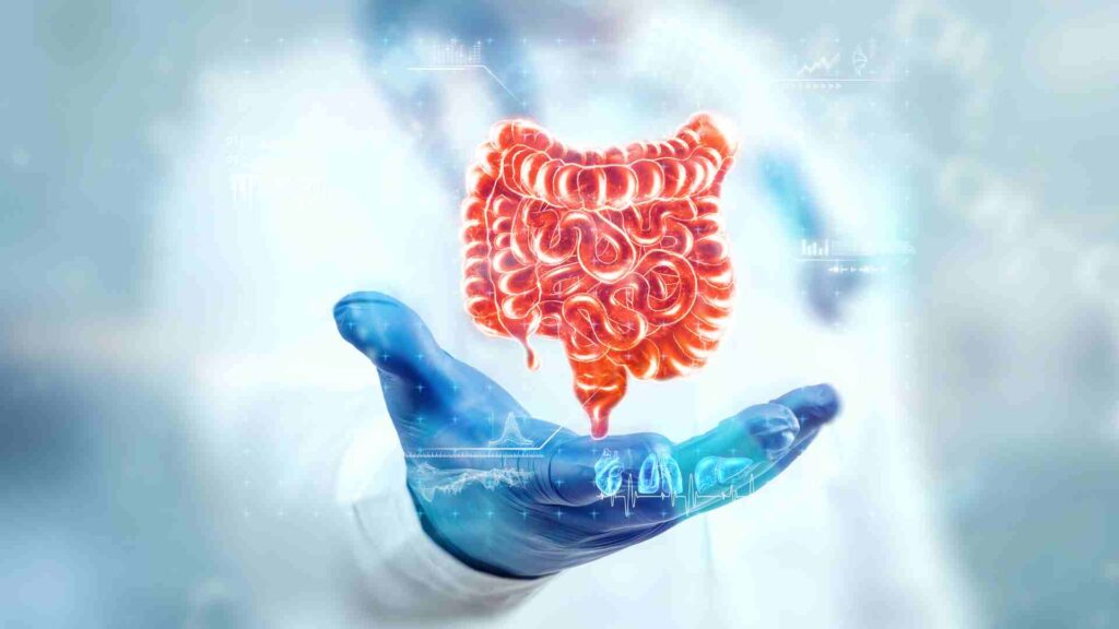 Digital illustration of the digestive system above a gloved hand