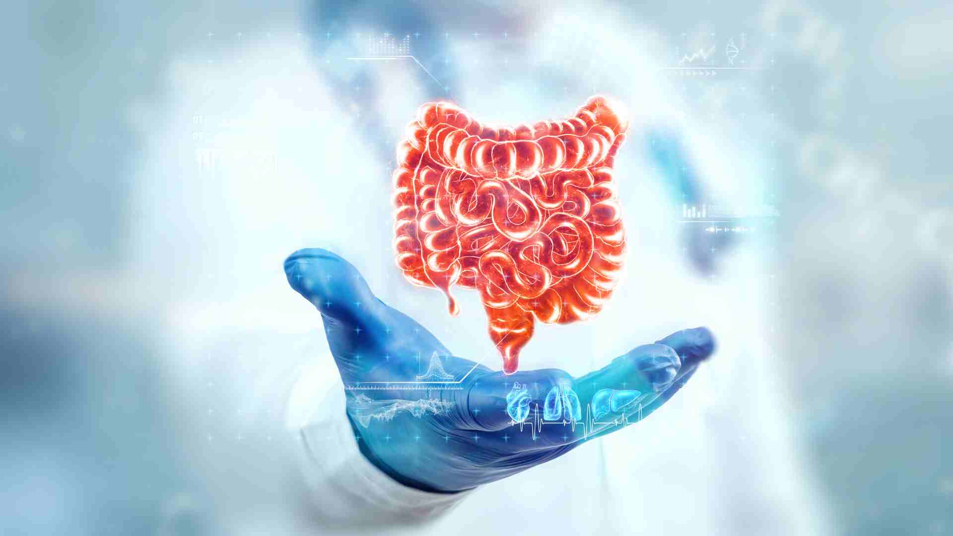 Doctors Hand with a colon