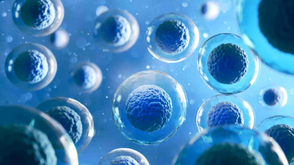 Microscopic view of blue cells representing biomedical and cellular research
