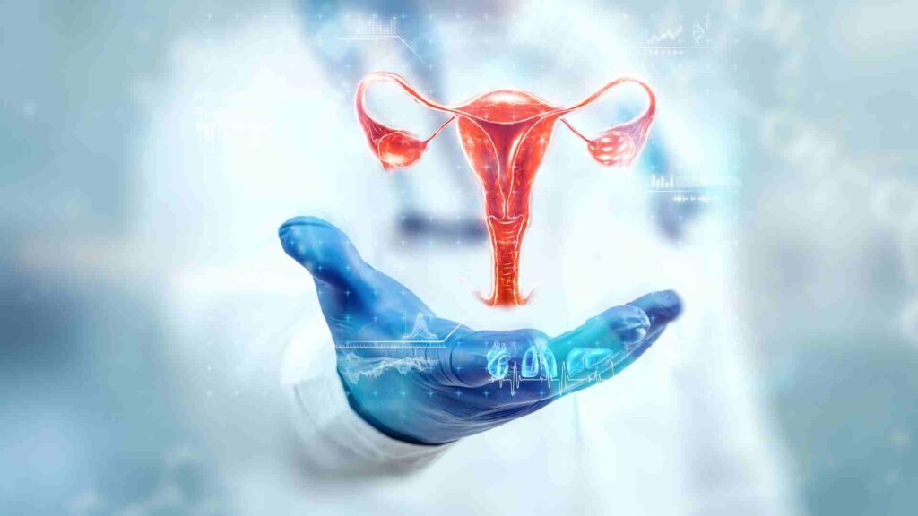 Digital illustration of the female reproductive system above a gloved hand